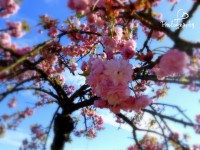 /album/galerie-photos/dscn0648-jpg/