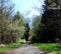 /album/galerie-photos/dscn0743-jpg/