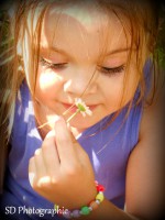 /album/galerie-photos/dscn1508-jpg/